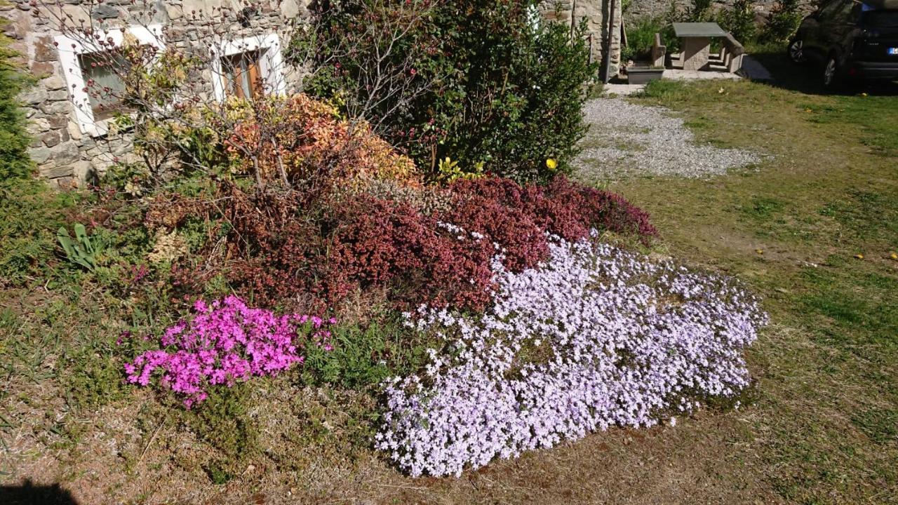 Casa Delle Rose Villa Teglio Eksteriør bilde