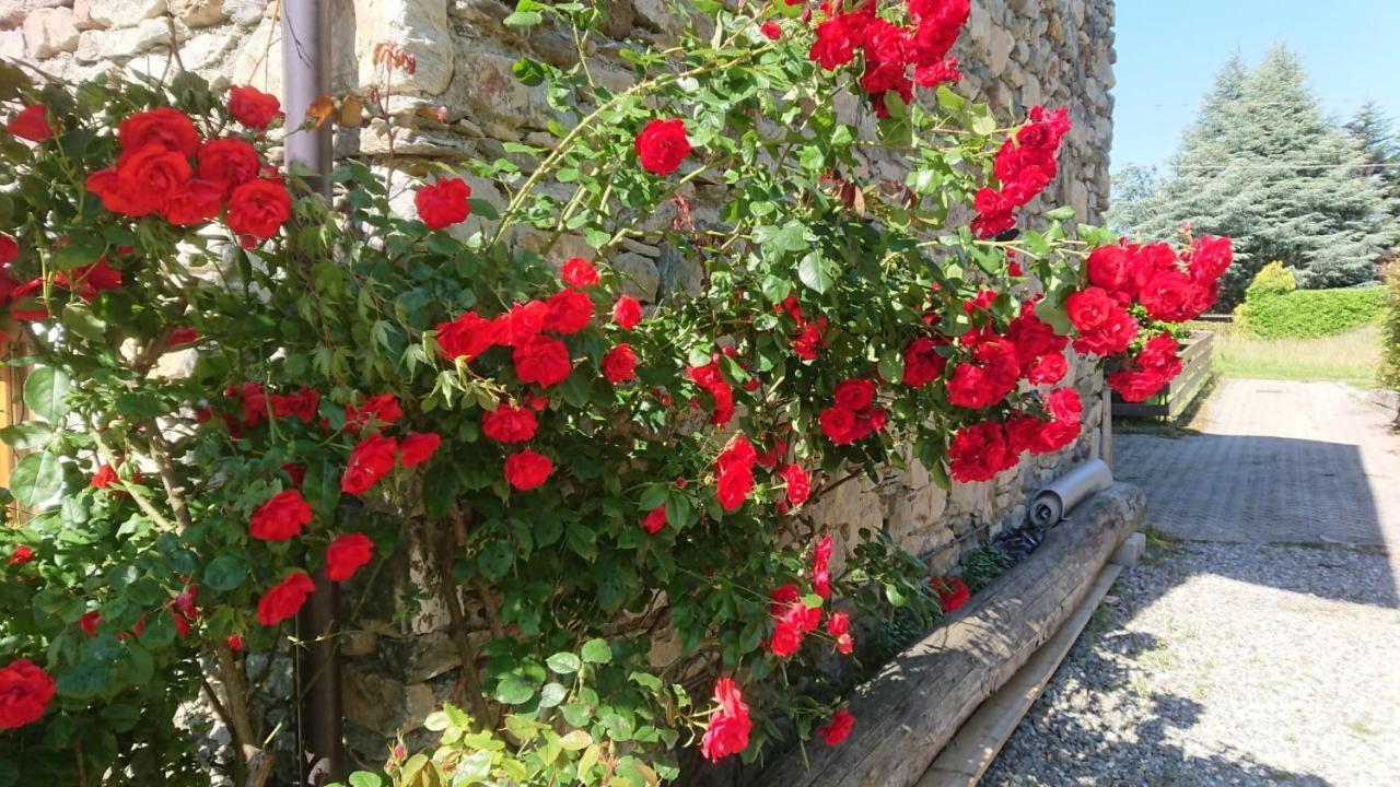 Casa Delle Rose Villa Teglio Eksteriør bilde